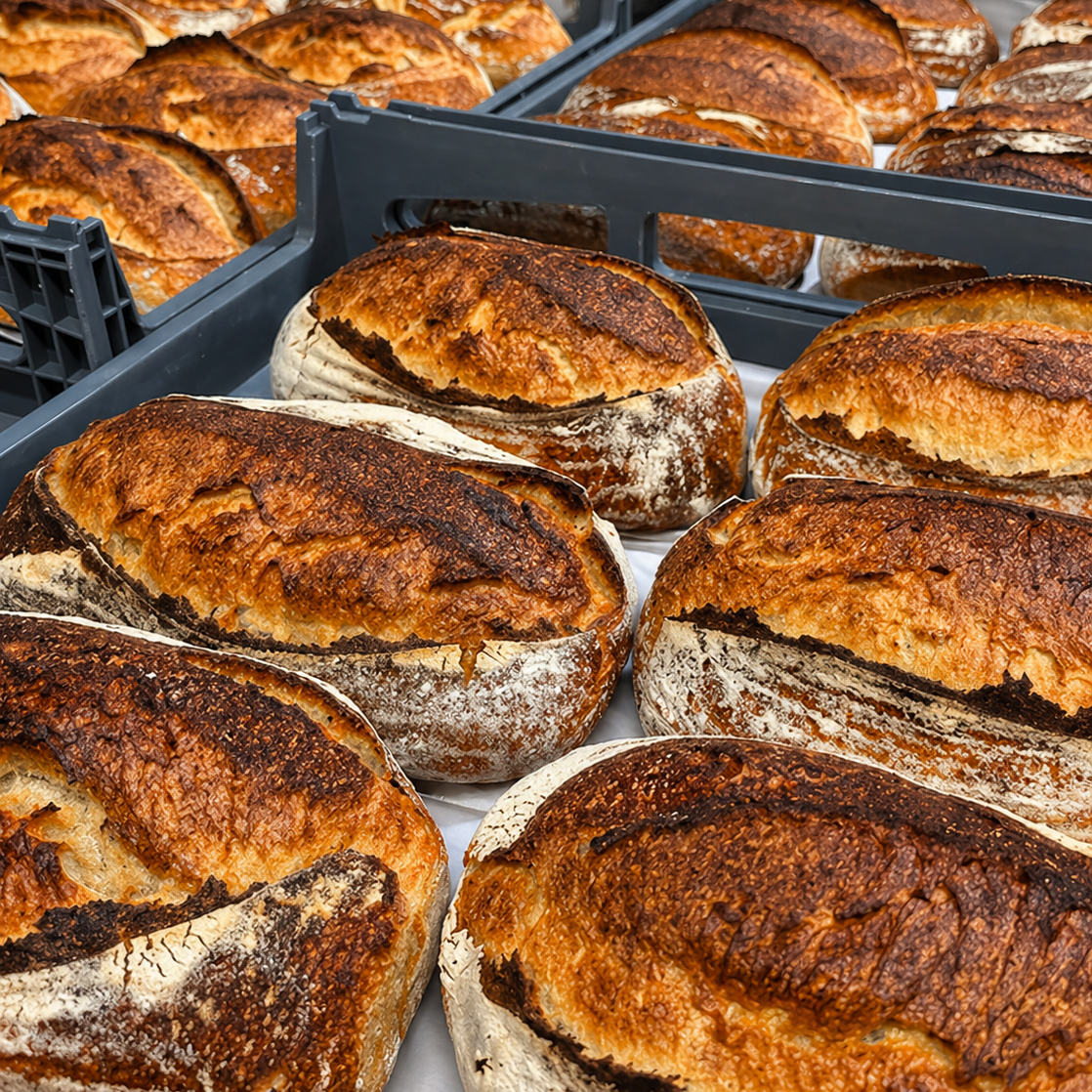 Loaves of bread in a bakery setting