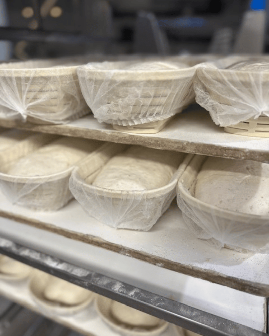 Baked goods in paper cups on a shelf in a bakery setting